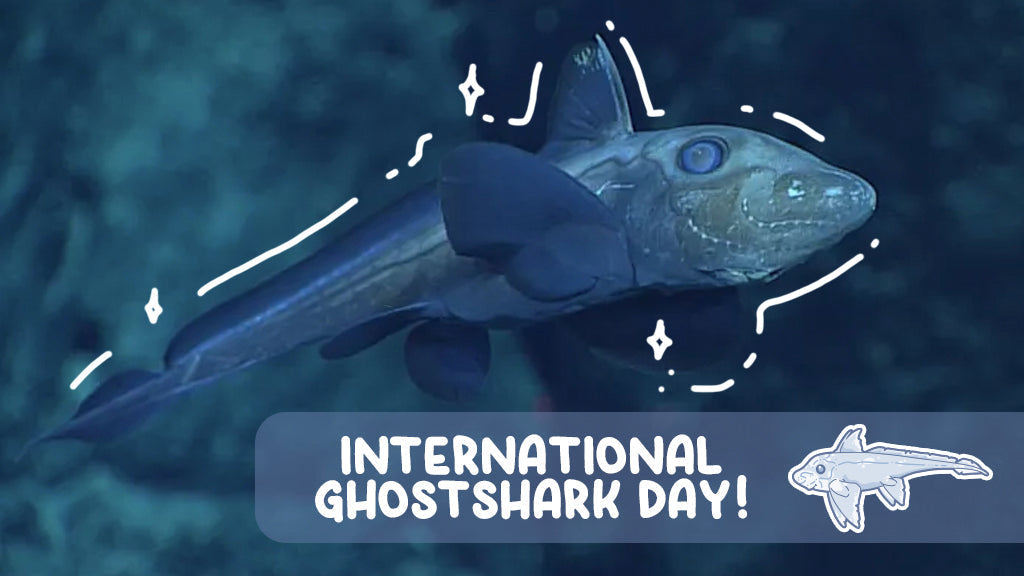 International Ghost Shark Day