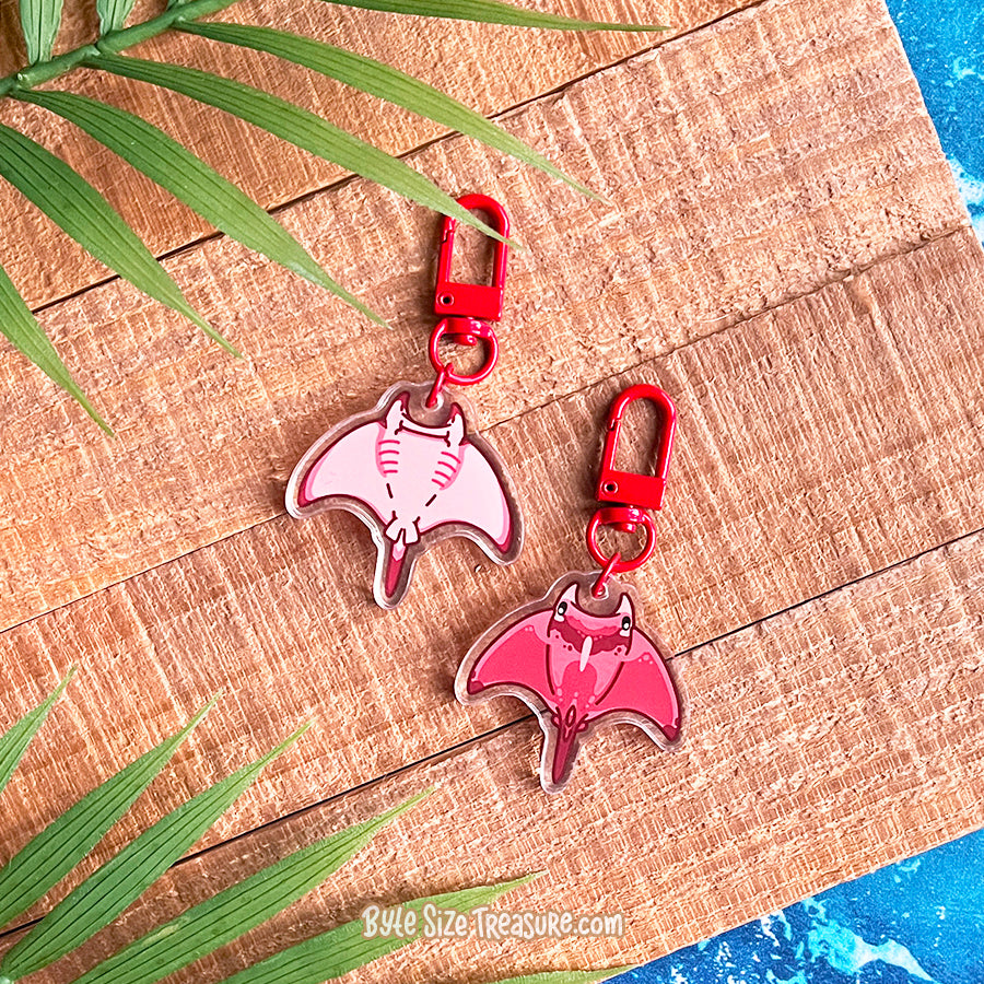 Flat Friend Charms: Rays