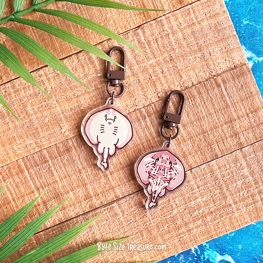 Flat Friend Charms: Rays