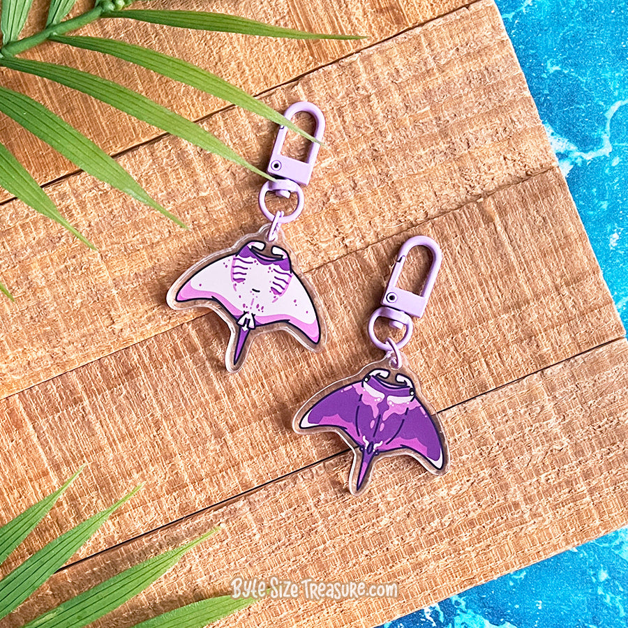 Flat Friend Charms: Rays