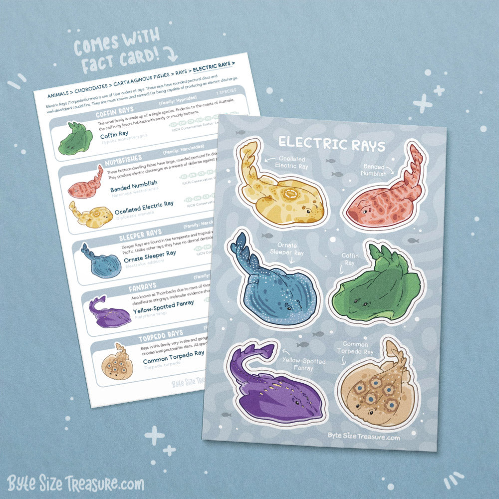 Electric Rays Sticker Sheet