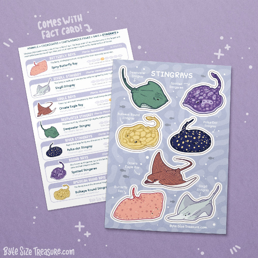 Stingrays Sticker Sheet