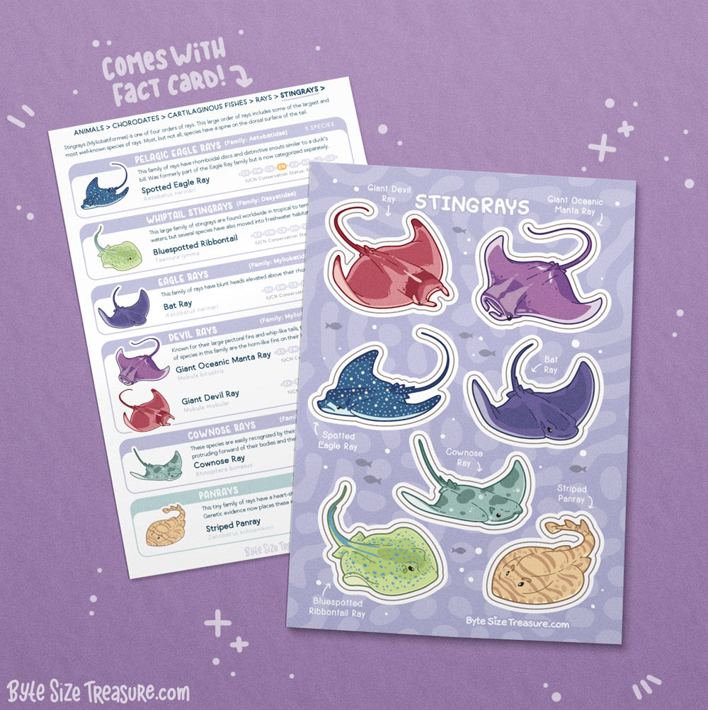 Stingrays 2 Sticker Sheet