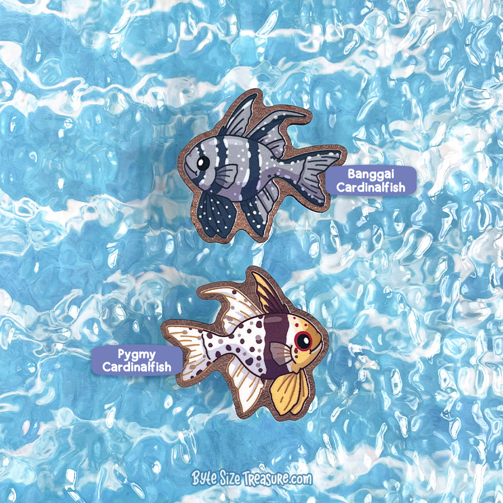 Cardinalfish \\ Wooden Magnet