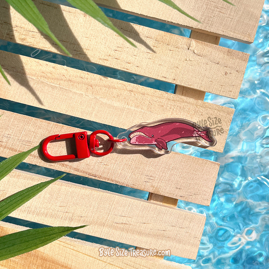 Small Charms: Cetacean