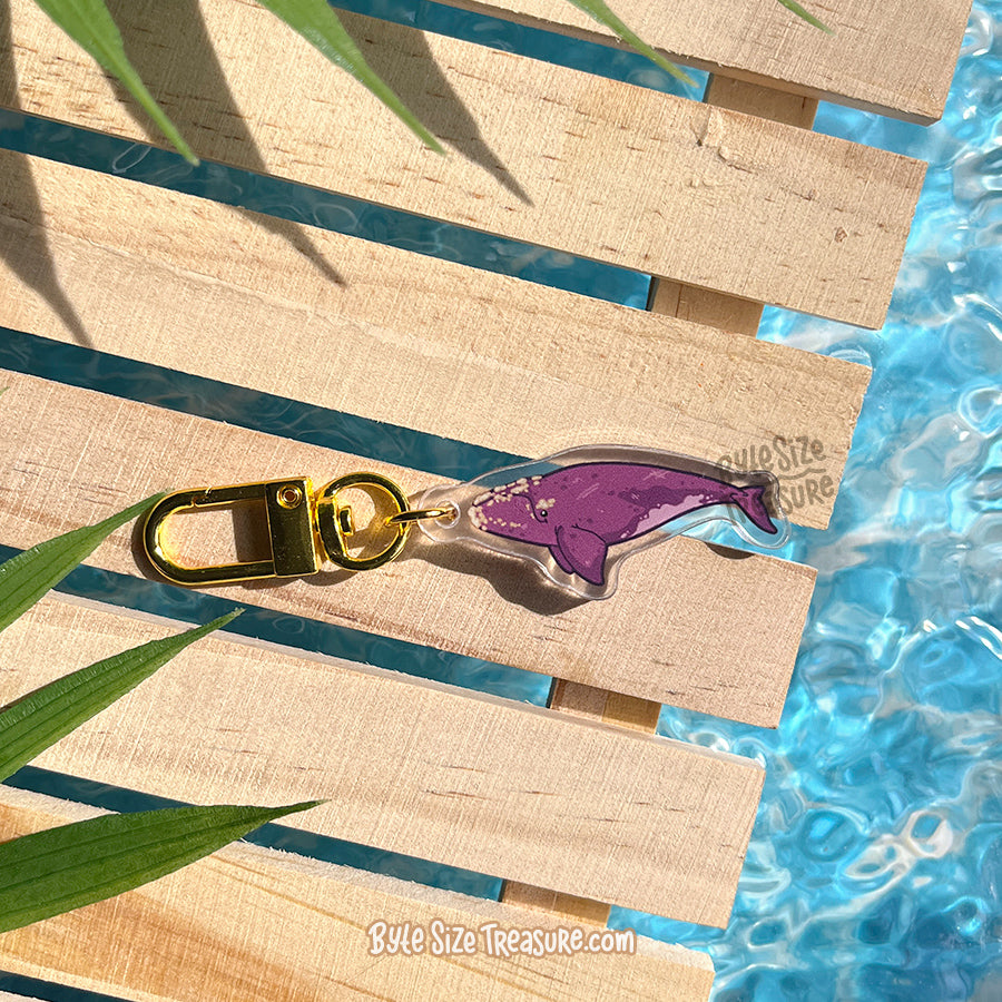 Small Charms: Cetacean