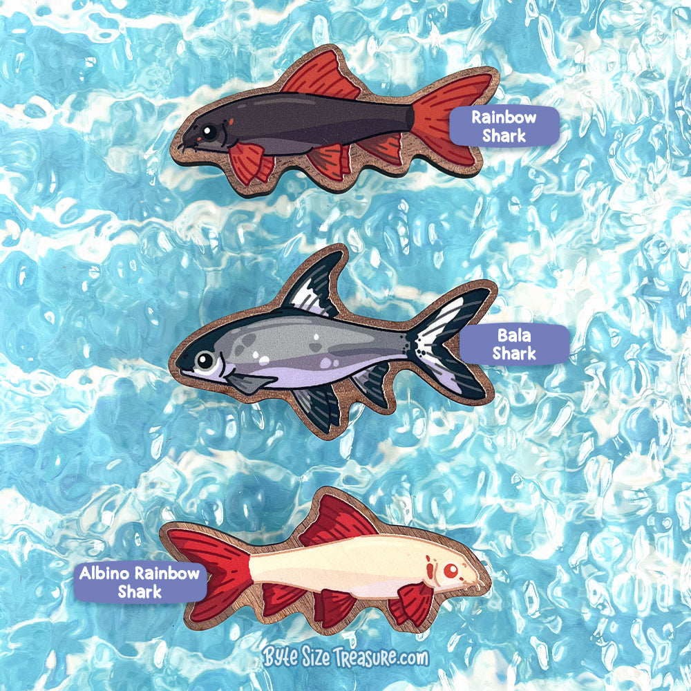 Freshwater Sharks \\ Wooden Magnet