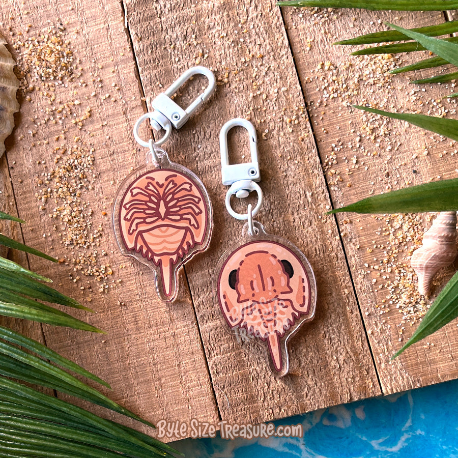 Flat Friend Charm: Horseshoe Crab