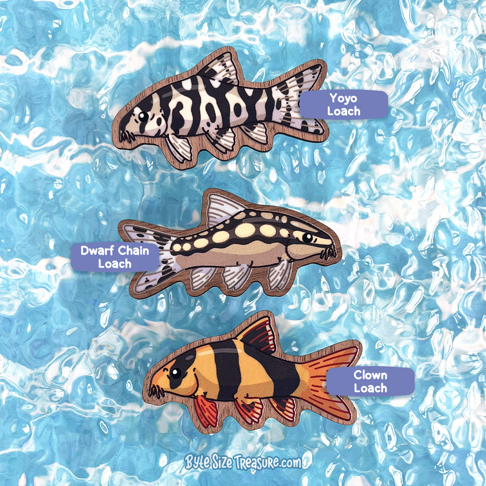 Loaches \\ Wooden Magnet