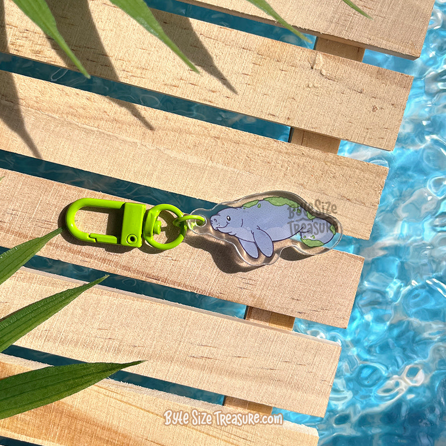Small Charms: Marine Mammals