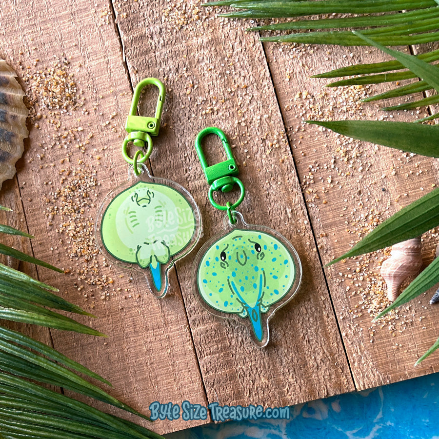 Flat Friend Charms: Rays