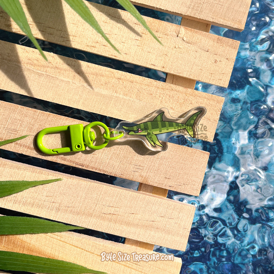 Small Charms: Prehistoric Sharks