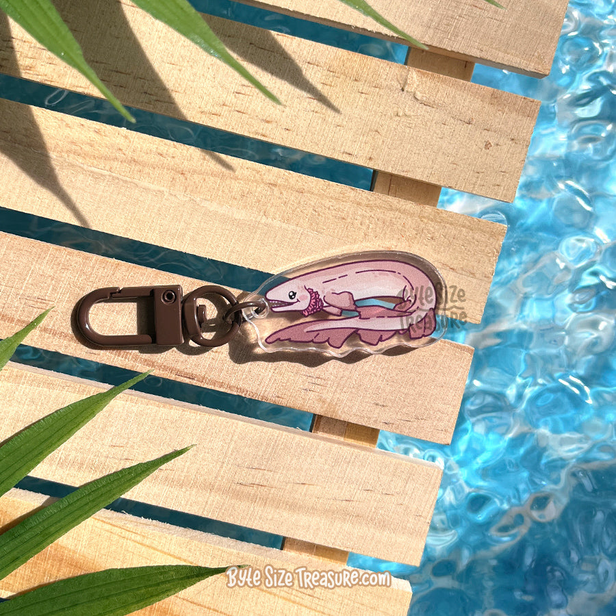 Small Charms: Sharks