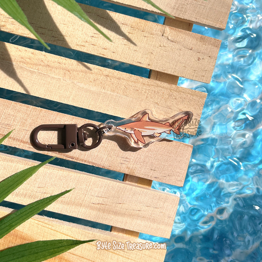 Small Charms: Sharks