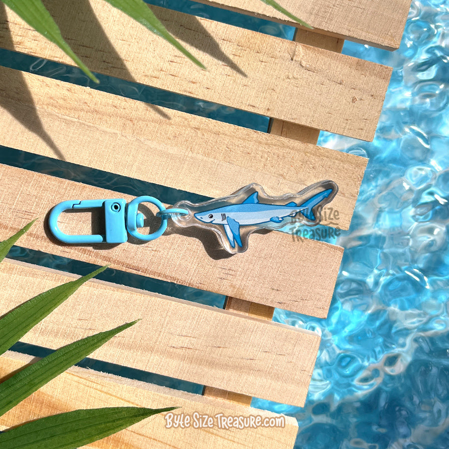 Small Charms: Sharks