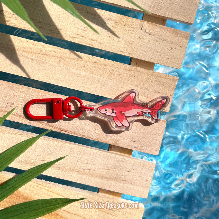 Small Charms: Sharks