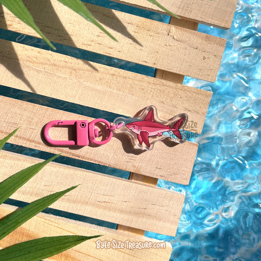 Small Charms: Sharks