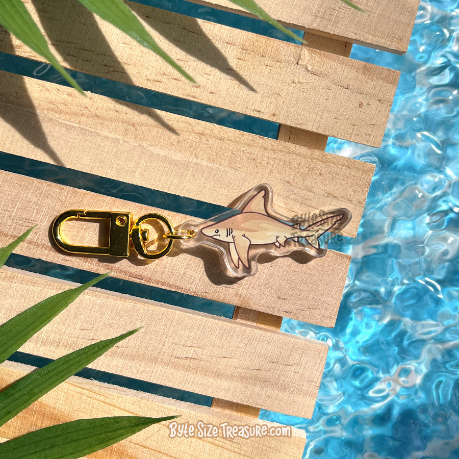 Small Charms: Sharks
