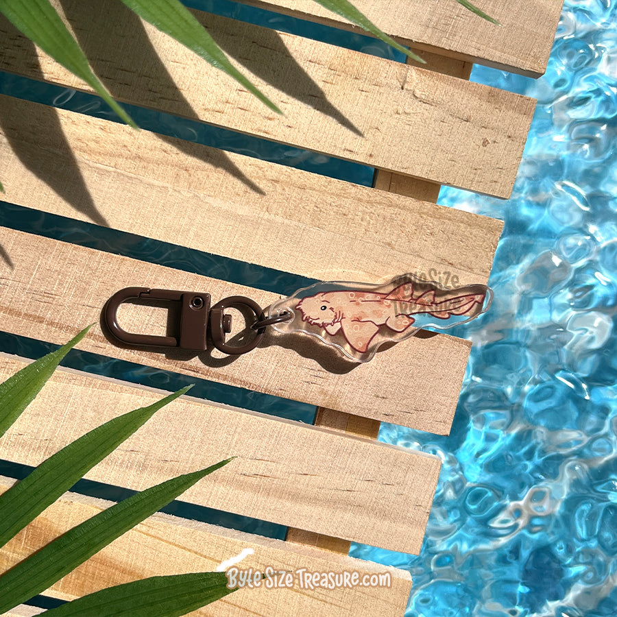 Small Charms: Sharks