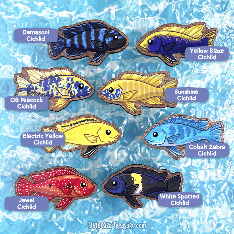 African Cichlids \\ Wooden Magnet