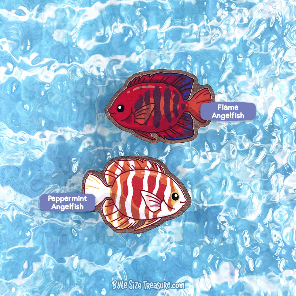 Saltwater Angelfish \\ Wooden Magnet