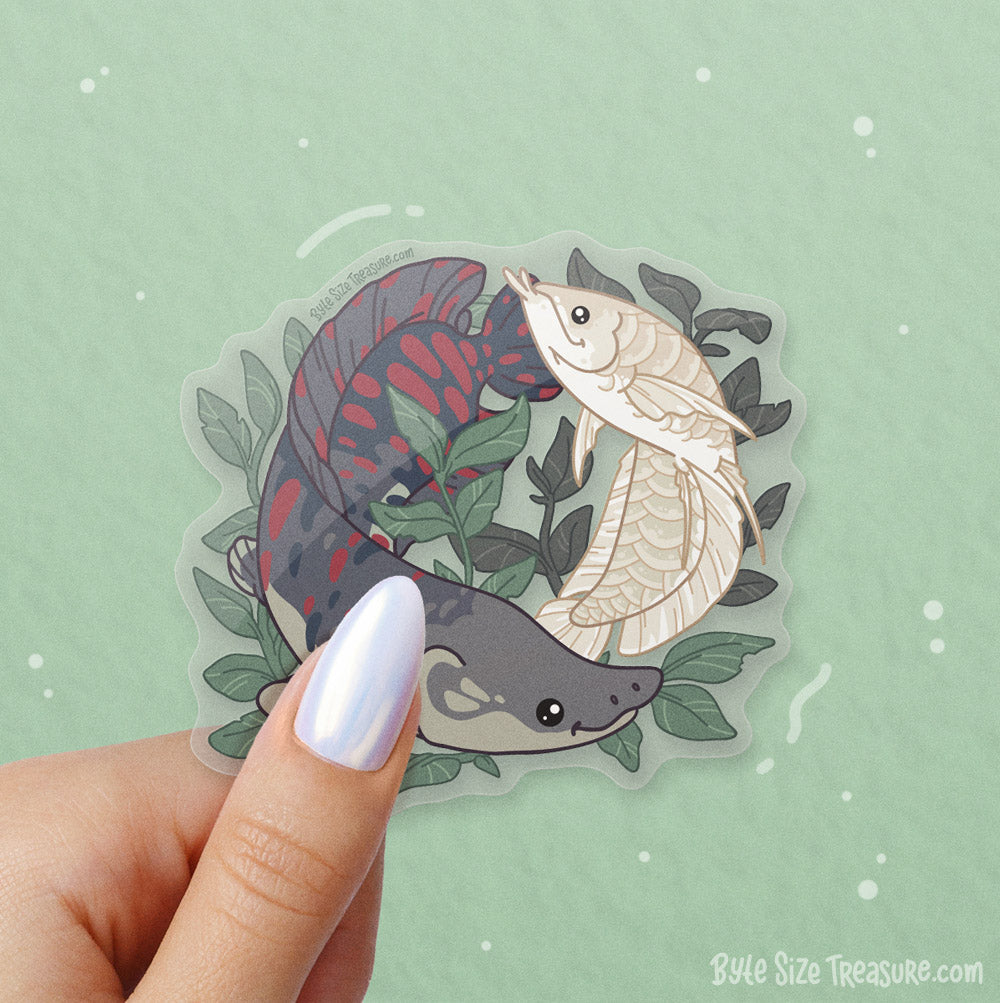 Arapaima & Silver Arowana \\ Clear Vinyl Sticker