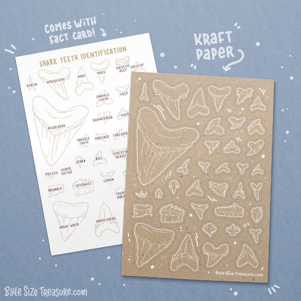 Shark Teeth Kraft Sticker Sheet