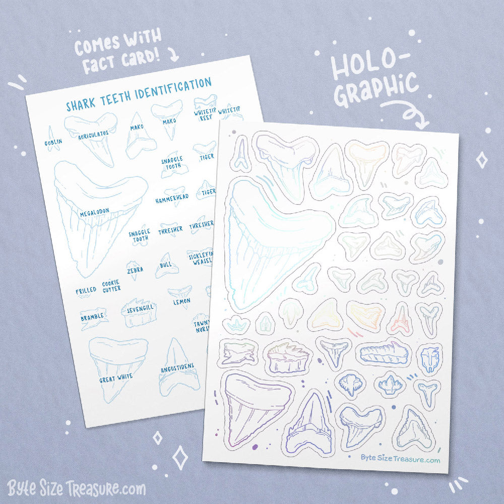 Shark Teeth Holographic Sticker Sheet