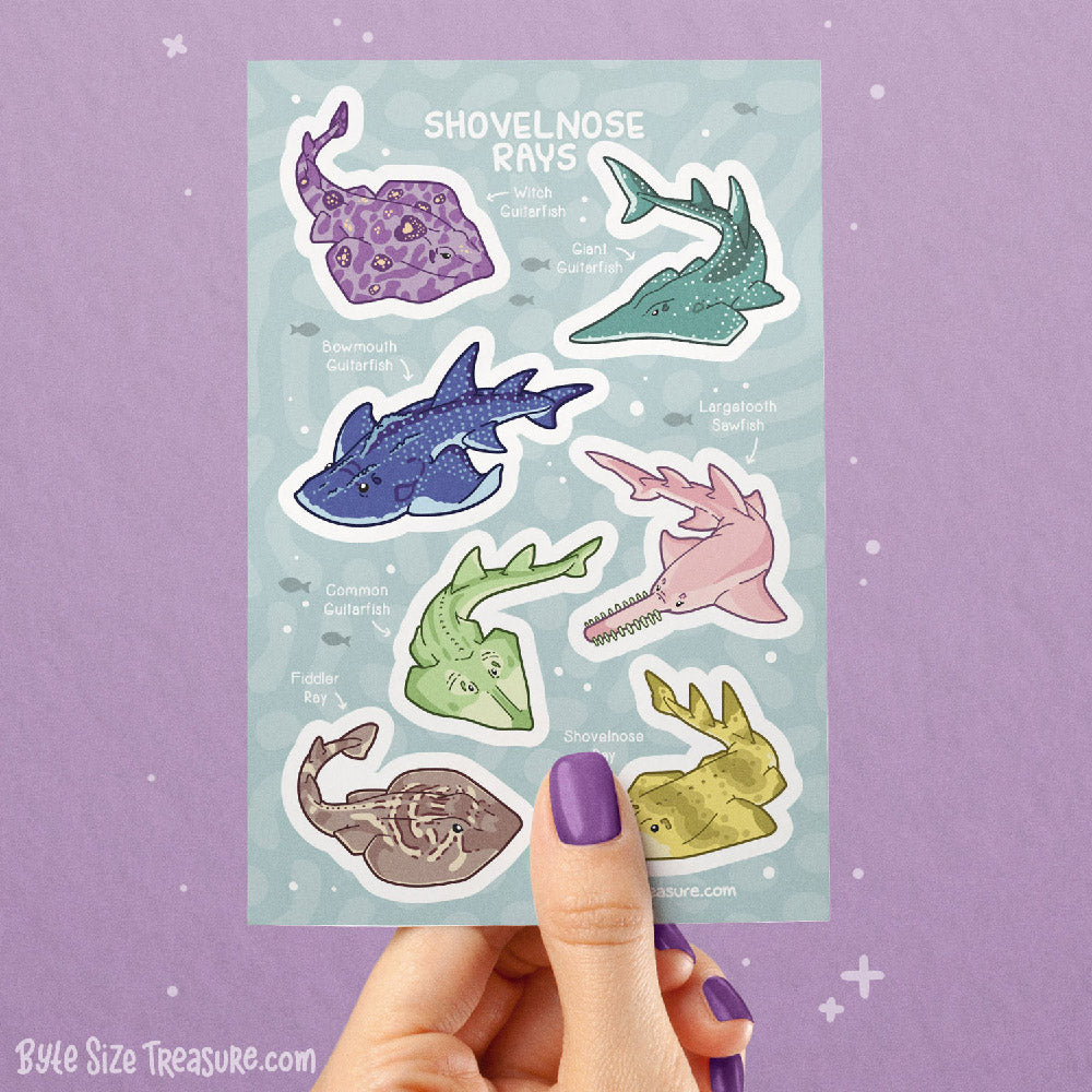 Shovelnose Rays Sticker Sheet