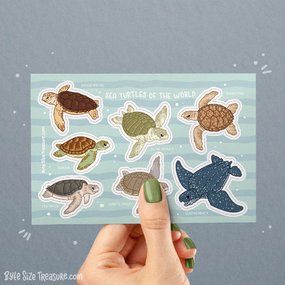 Sea Turtles Sticker Sheet