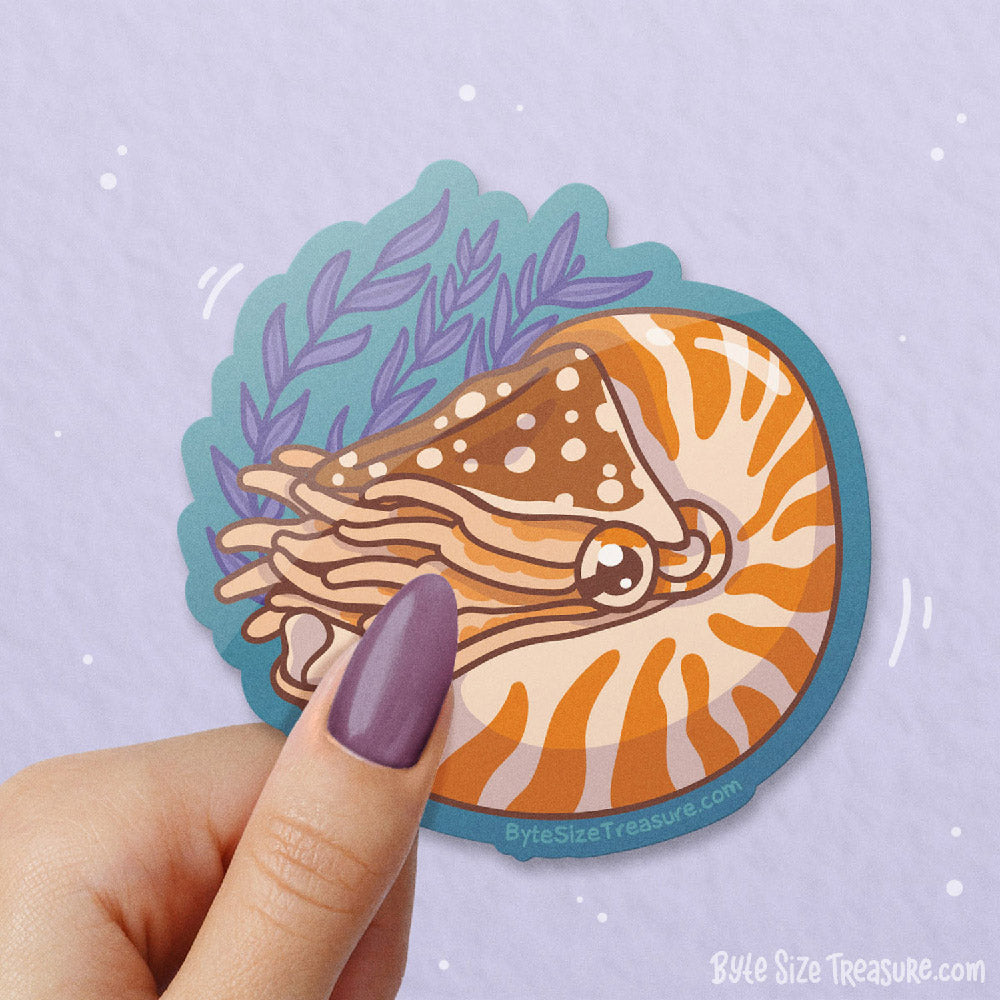 Chambered Nautilus \\ Vinyl Sticker