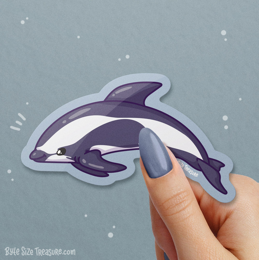 Hourglass Dolphin \\ Vinyl Sticker