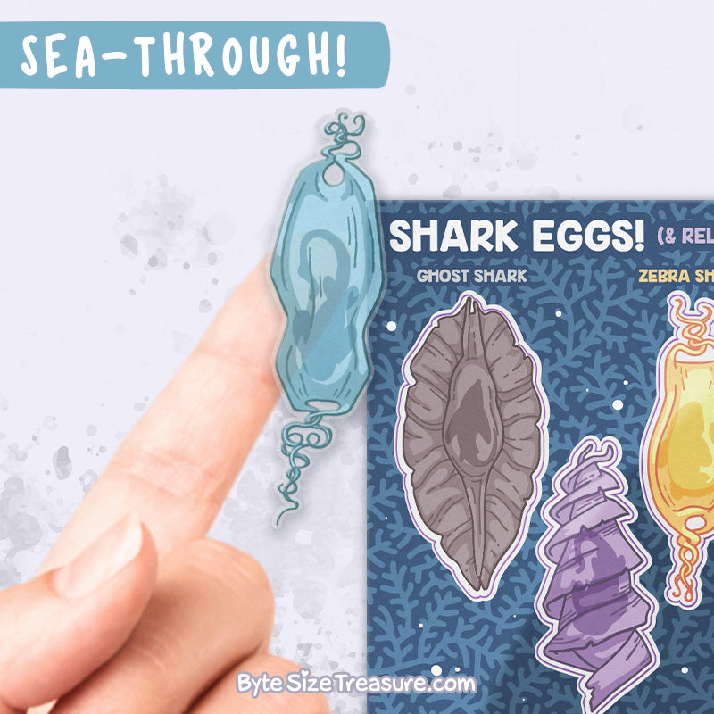 Shark Egg Cases Sticker Sheet