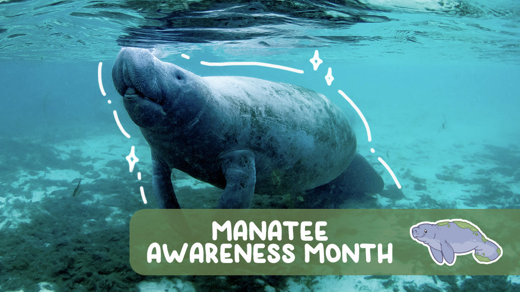 Mantee Awareness Month