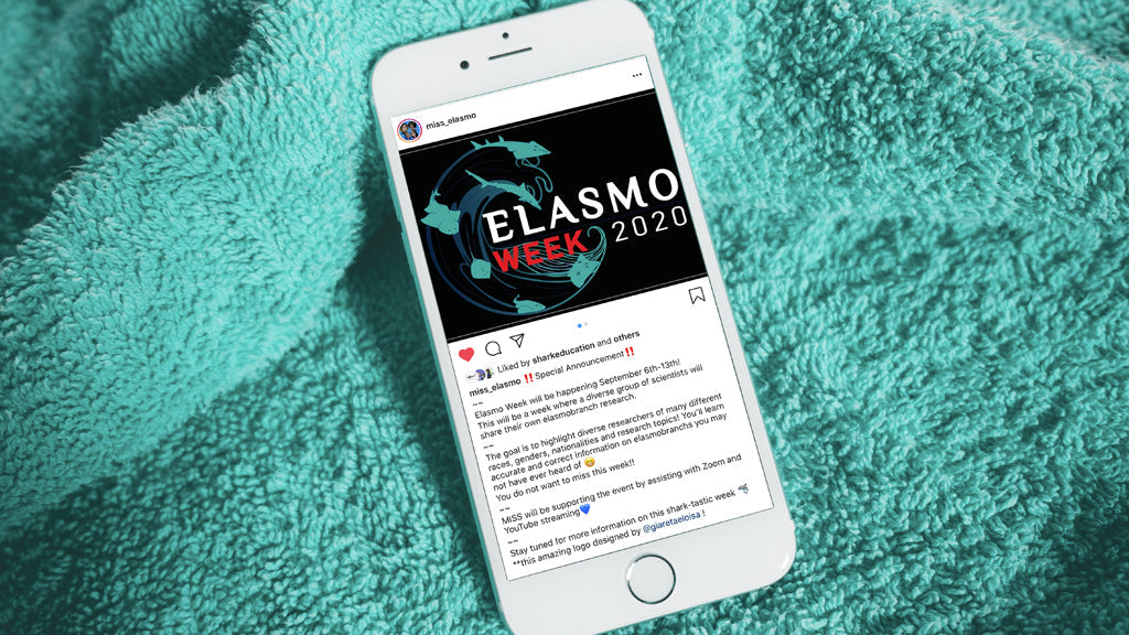 Elasmo Week 2020