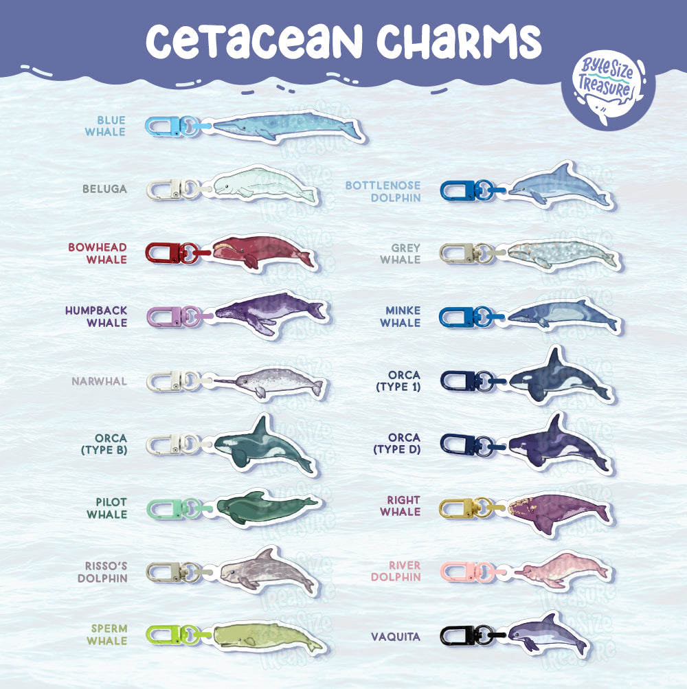 Small Charms: Cetacean