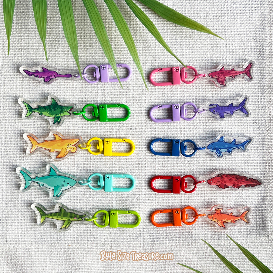 Small Charms: Prehistoric Sharks