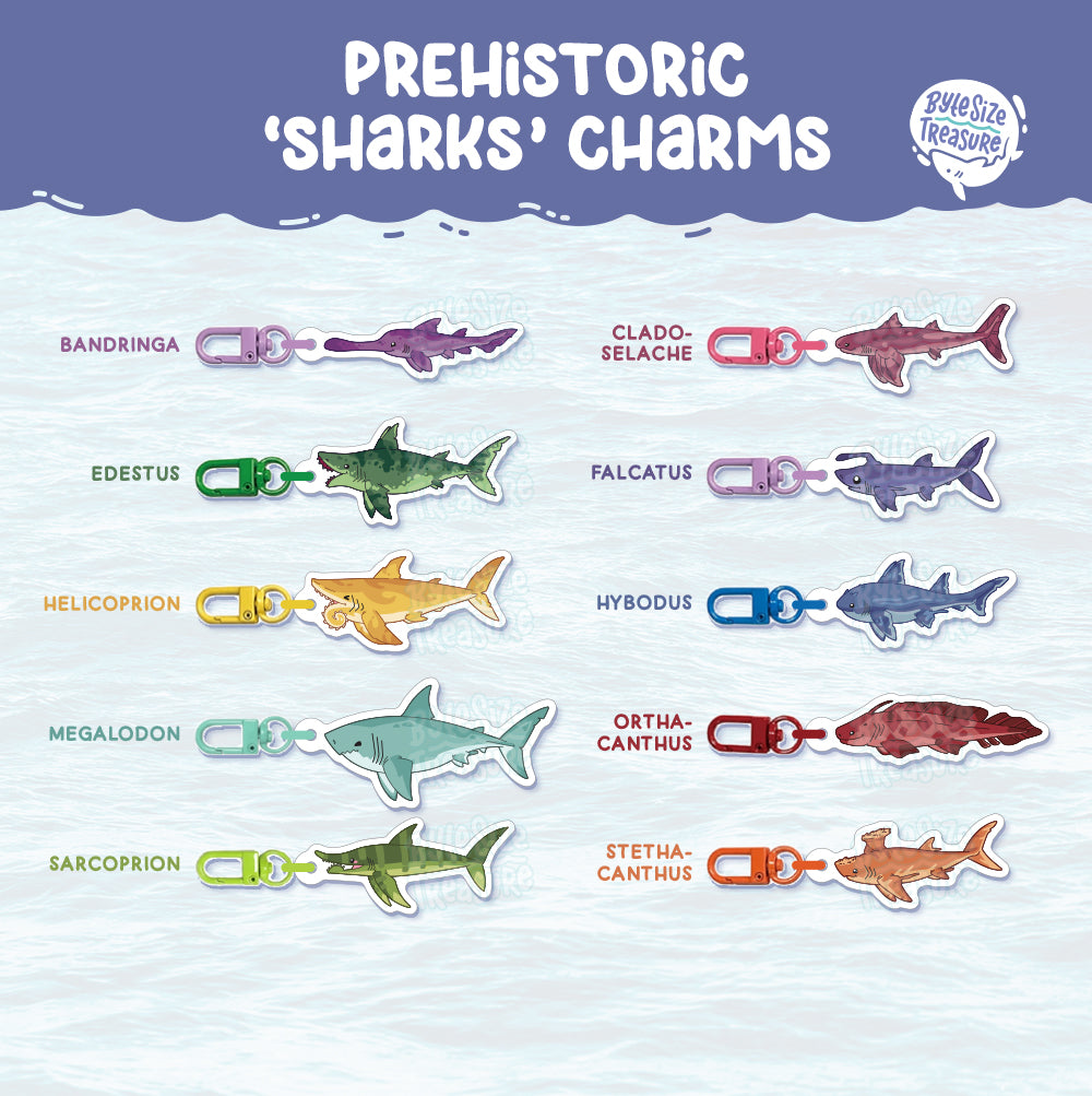 Small Charms: Prehistoric Sharks