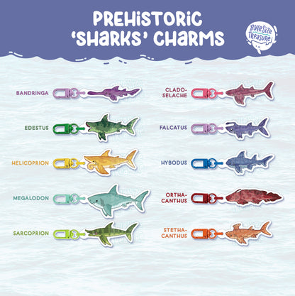 Small Charms: Prehistoric Sharks