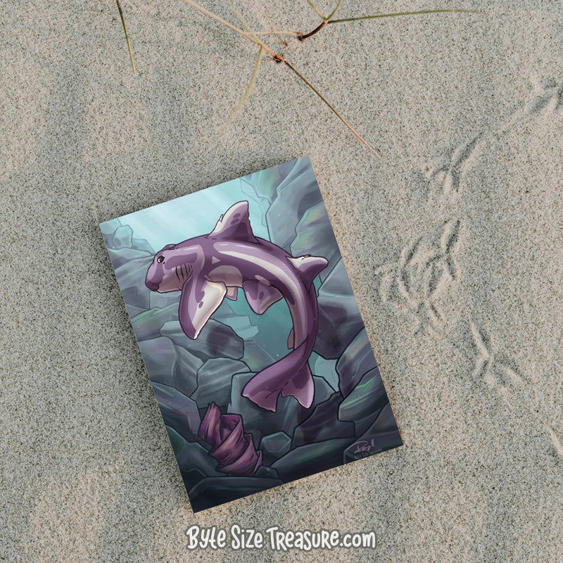 Port Jackson Shark Art Print