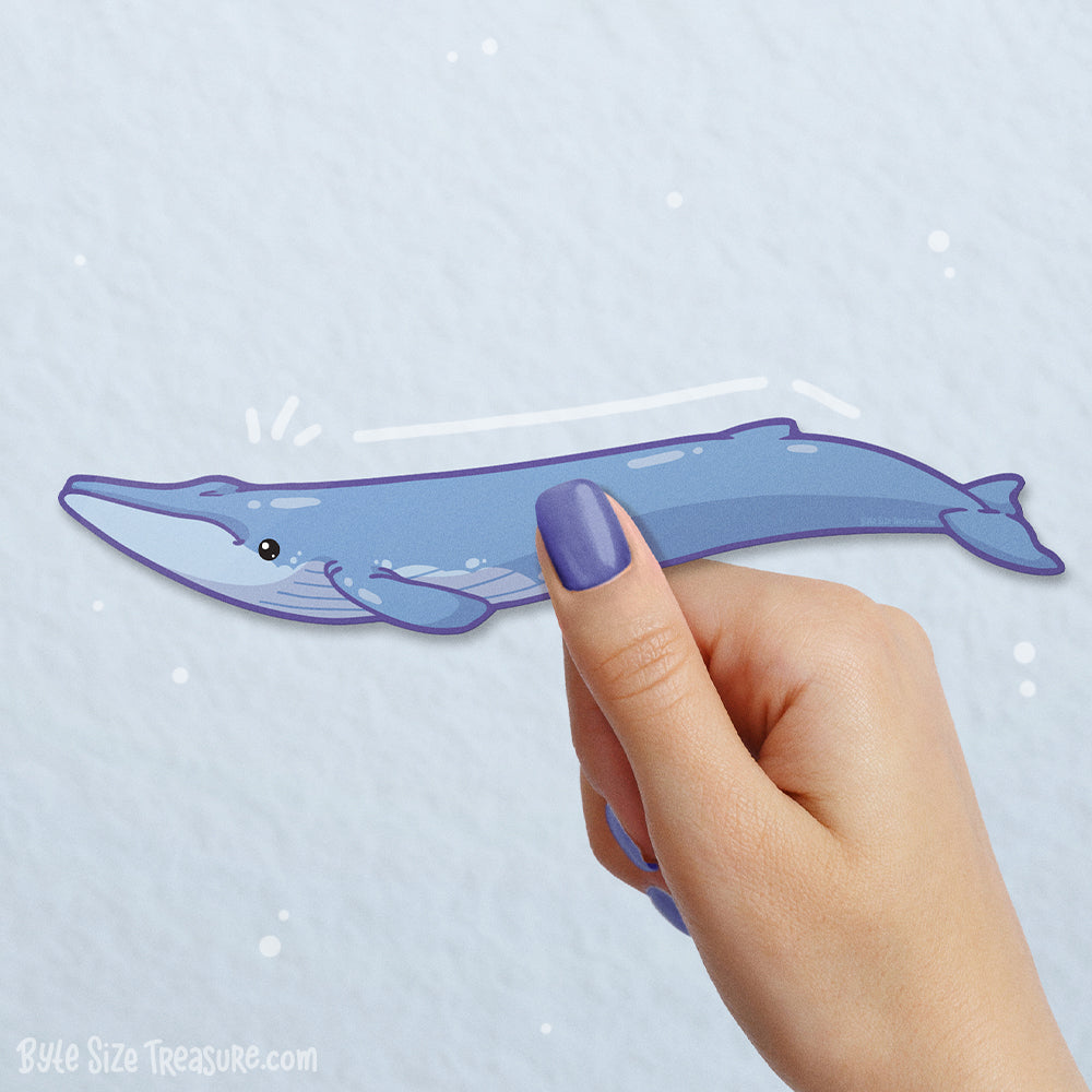 Long Blue Whale Vinyl Sticker
