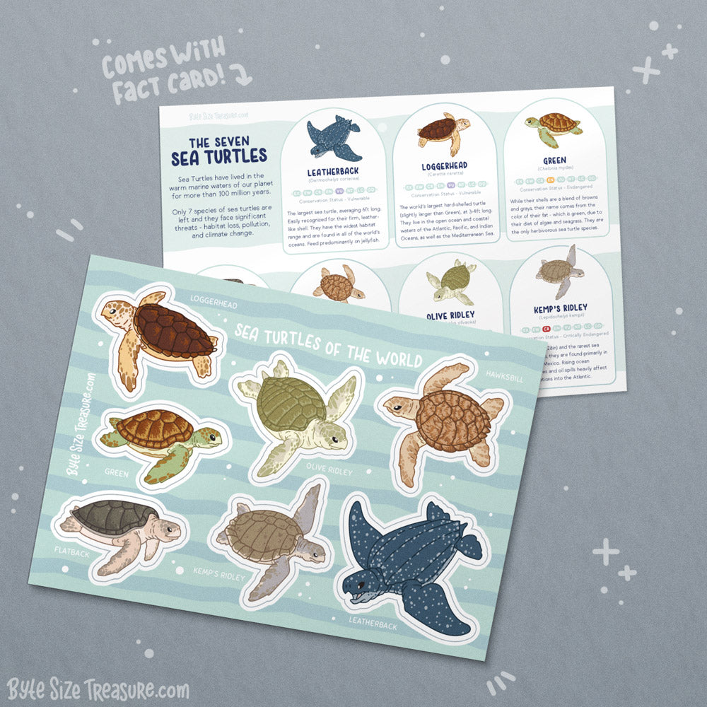 Sea Turtles Sticker Sheet