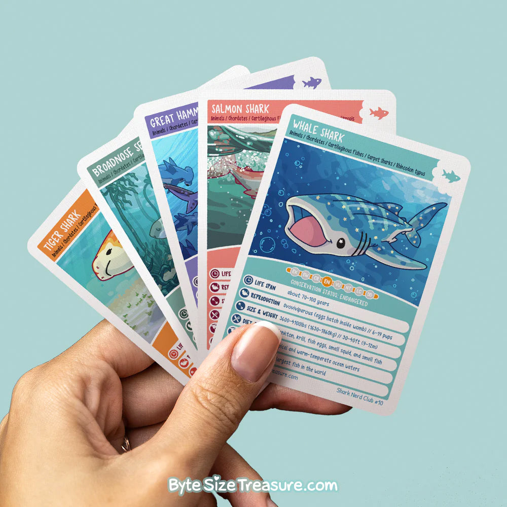 Trading Cards – ByteSizeTreasure