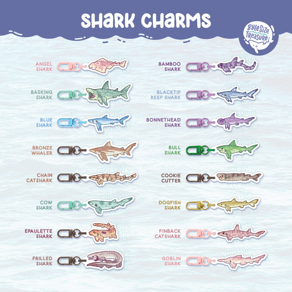 Small Charms: Sharks