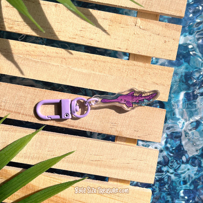 Small Charms: Prehistoric Sharks