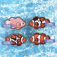 Clownfish \\ Wooden Magnet
