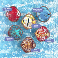 Discus \\ Wooden Magnet