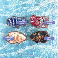 Large Cichlids \\ Wooden Magnet