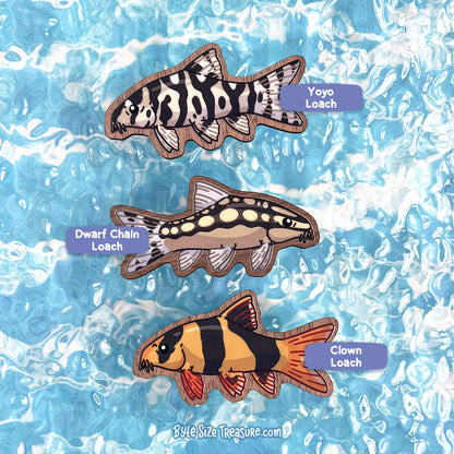 Loaches \\ Wooden Magnet