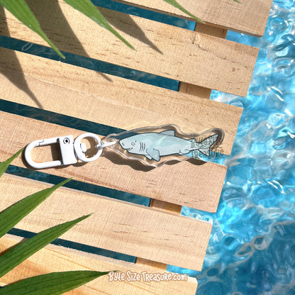 Small Charms: Sharks